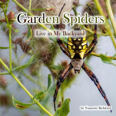 Garden Spiders (In My Backyard)