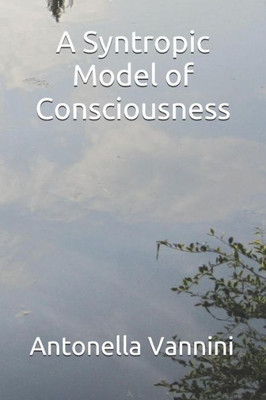 A Syntropic Model Of Consciousness
