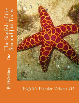 The Starfish Of The Sea And Just Today