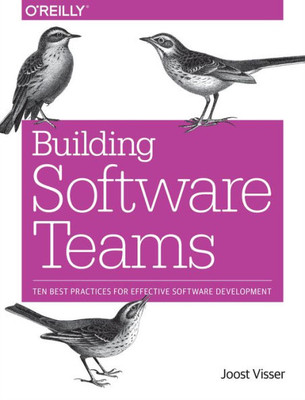 Building Software Teams: Ten Best Practices For Effective Software Development