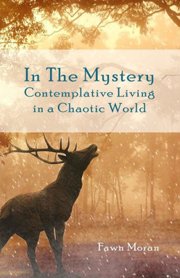 In The Mystery: Contemplative Living In A Chaotic World (Mystical Traveler)