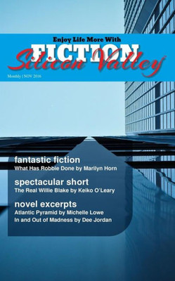 Fiction Silicon Valley: Monthly Nov 2016