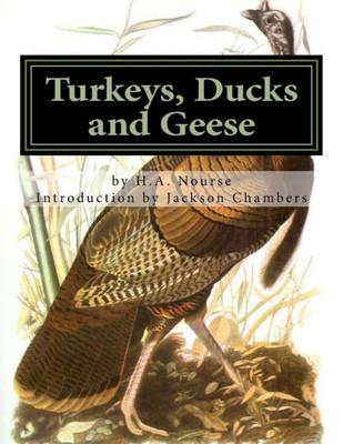 Turkeys, Ducks And Geese: Breeding, Hatching And Rearing For Pleasure Or Profit