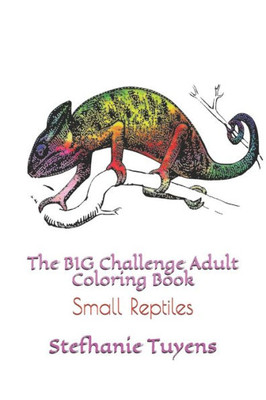 The Big Challenge Adult Coloring Book: Small Reptiles