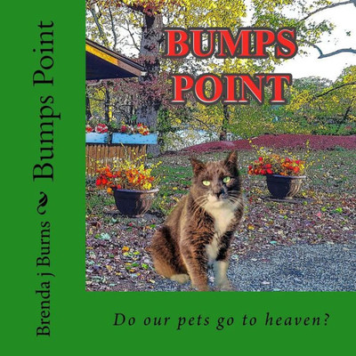 Bumps Point: Do Our Pets Go To Heaven?