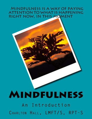 Mindfulness: An Introduction