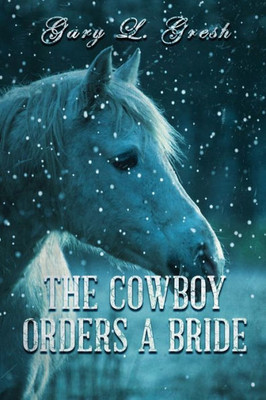 The Cowboy Orders A Bride: Twin Fork Series (Twin Forks Bride Series)