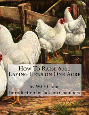 How To Raise 6000 Laying Hens On One Acre