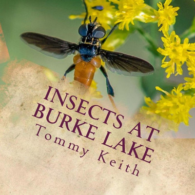 Insects At Burke Lake: A Picture Book For Children Of All Ages