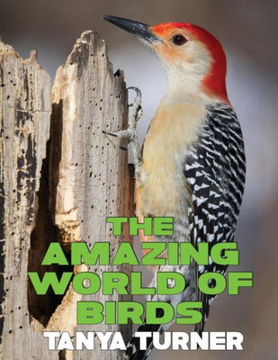 The Amazing World Of Birds: Do Your Kids Know This?: A Children's Picture Book (Amazing Creature Series)