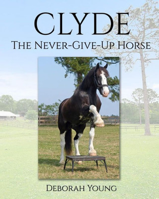 Clyde: The-Never-Give-Up-Horse