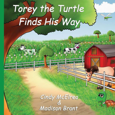 Torey The Turtle Finds His Way