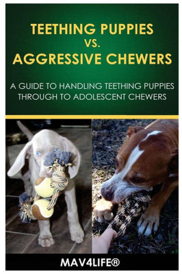 Teething Puppies Vs. Aggressive Chewers: A Guide To Handling Teething Puppies Through To Adolescent Chewers