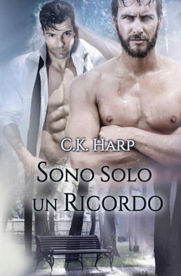 Sono Solo Un Ricordo (Italian Edition)
