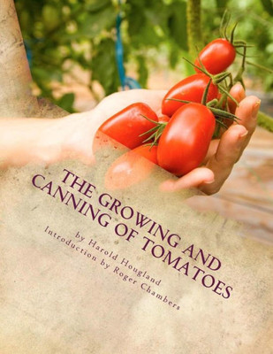 The Growing And Canning Of Tomatoes