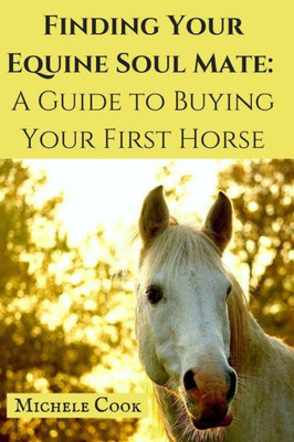 Finding Your Equine Soulmate: A Guide To Buying A Horse