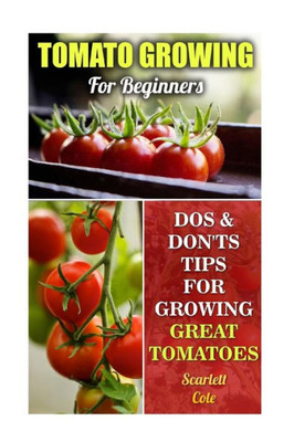 Tomato Growing For Beginners: Dos & Don'Ts Tips For Growing Great Tomatoes