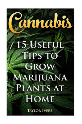 Cannabis: 15 Useful Tips To Grow Marijuana Plants At Home