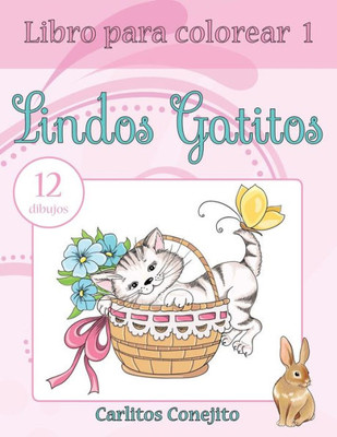 Libro Para Colorear Lindos Gatitos: 12 Dibujos (Spanish Edition)