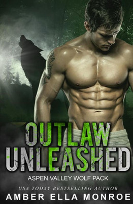 Outlaw Unleashed (Aspen Valley Wolf Pack)