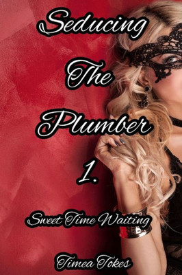 Seducing The Plumber 1: Sweet Time Waiting: A Short Erotic Story (Straight)