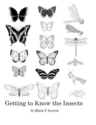 Getting To Know The Insects