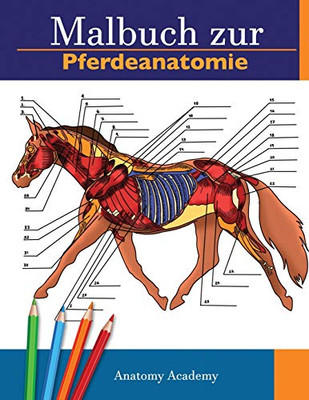 Malbuch zur Pferdeanatomie: Unglaublich detailliertes Arbeitsbuch zum Selbsttest der Pferdeanatomie | Perfektes Geschenk für Tiermedizinstudenten, Pferdeliebhaber und Erwachsene (German Edition)