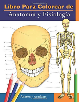 Libro para colorear de Anatomía y Fisiología: Libro de colores de autoevaluación muy detallado para estudiar | El regalo perfecto para estudiantes de ... enfermeras y adultos (Spanish Edition)