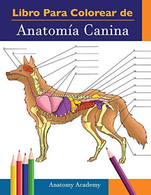 Libro para colorear de Anatomía Canina: Libro de Colores de Autoevaluación Muy Detallado de Anatomía Canina | El Regalo Perfecto Para Estudiantes de ... de los Perros y Adultos (Spanish Edition)