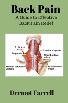 Back Pain: A Guide To Effective Back Pain Relief (Natural Health Solutions)