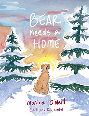 Bear Needs A Home - Paperback