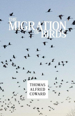 The Migration Of Birds