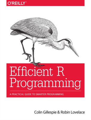 Efficient R Programming: A Practical Guide To Smarter Programming