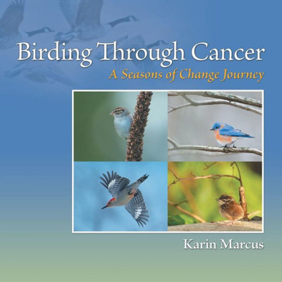 Birding Through Cancer: A Seasons Of Change Journey