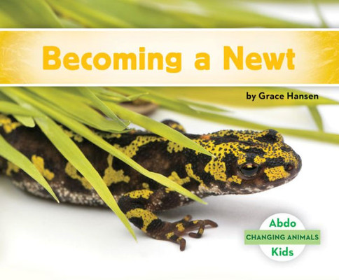 Becoming A Newt (Changing Animals) Becoming A Newt (Changing Animals)