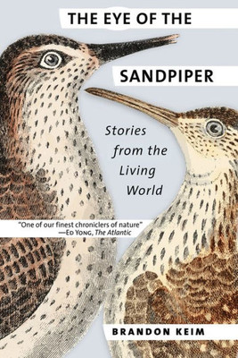 The Eye Of The Sandpiper: Stories From The Living World