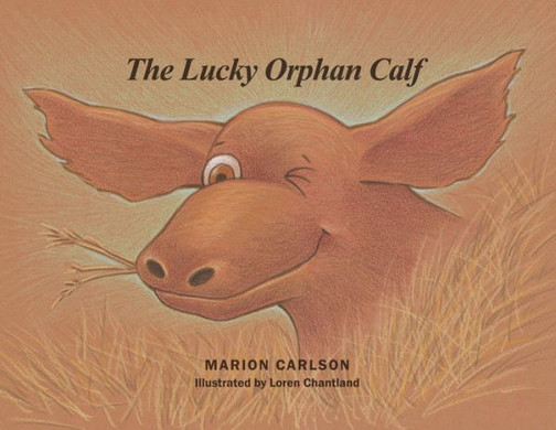 The Lucky Orphan Calf