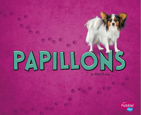 Papillons (Tiny Dogs)