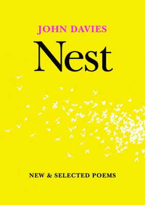 Nest: New And Selected Poems