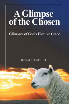 A Glimpse Of The Chosen: Glimpses Of GodS Elective Grace