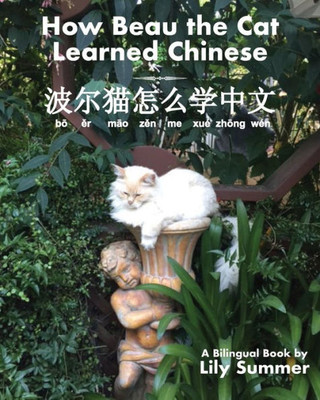 How Beau The Cat Learned Chinese (Learn Languages With Beau The Traveling Cat)