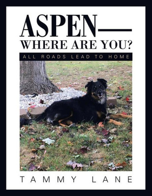 Aspen-Where Are You?: All Roads Lead To Home