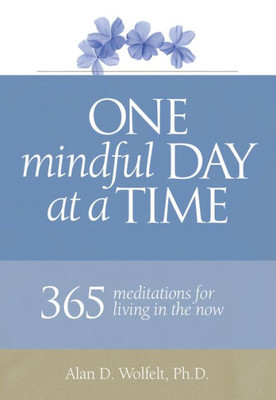 One Mindful Day At A Time: 365 Meditations For Living In The Now