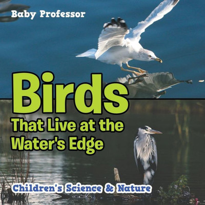 Birds That Live At The Water's Edge Children's Science & Nature