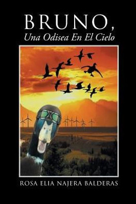 Bruno Una Odisea En El Cielo (Spanish Edition)
