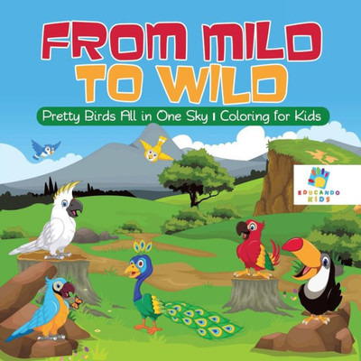 From Mild To Wild Pretty Birds All In One Sky Coloring For Kids