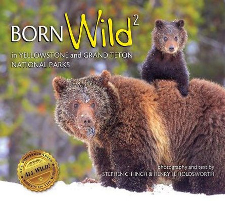 Born Wild 2 In Yellowstone And Grand Teton National Parks