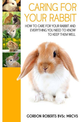 Caring For Your Rabbit: How To Care For Your Rabbit And Everything You Need To Know To Keep Them Well