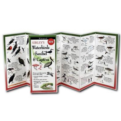 Earth Sky + Water Foldingguide - Sibley's Seabirds Of The Pacific Coast - 10 Panel Foldable Laminated Nature Identification Guide