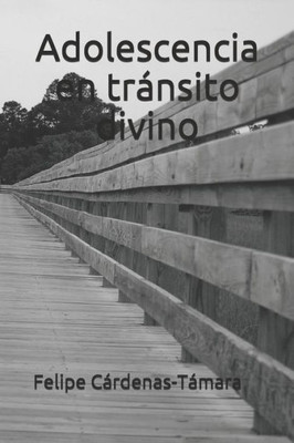 Adolescencia En Transito Divino (Spanish Edition)